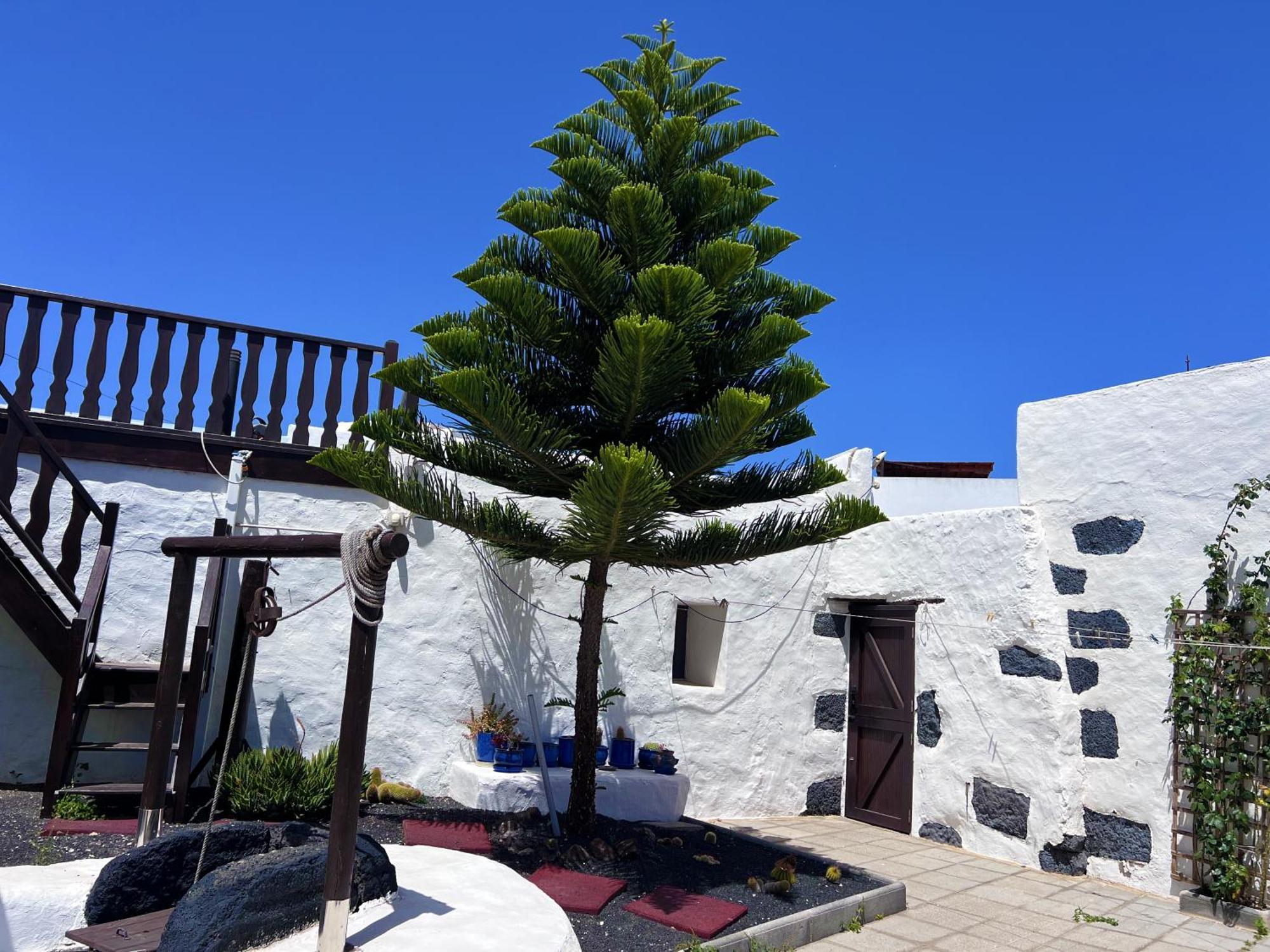 Casa Rural Estilo Canario San Bartolomé Exterior foto